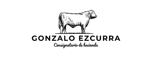 logoN _ gonzalo ezcurra